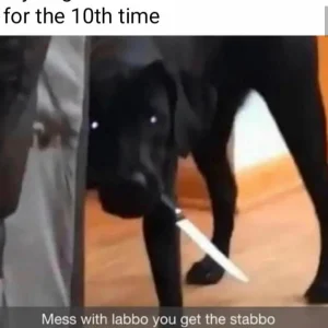 Mess with labbo