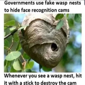 Fake wasp nest