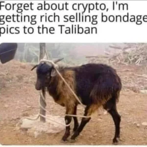 Forget about crypto