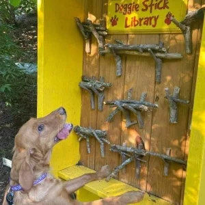 Doggie Stick Library