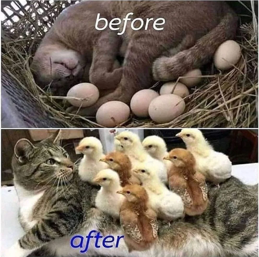 Before and after