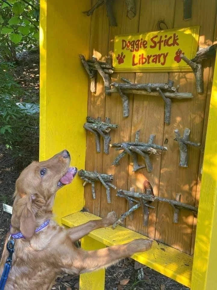 Doggie Stick Library