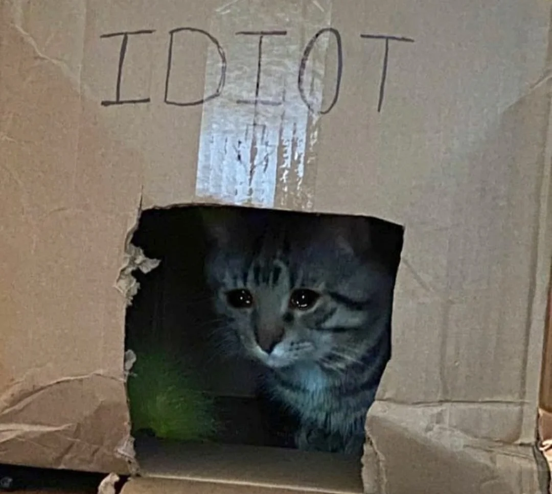 Idiot