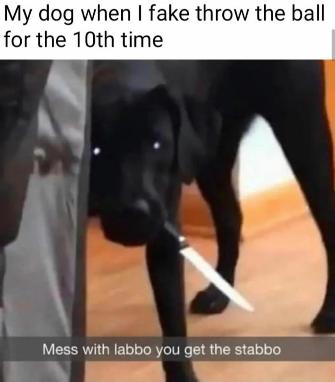 Mess with labbo